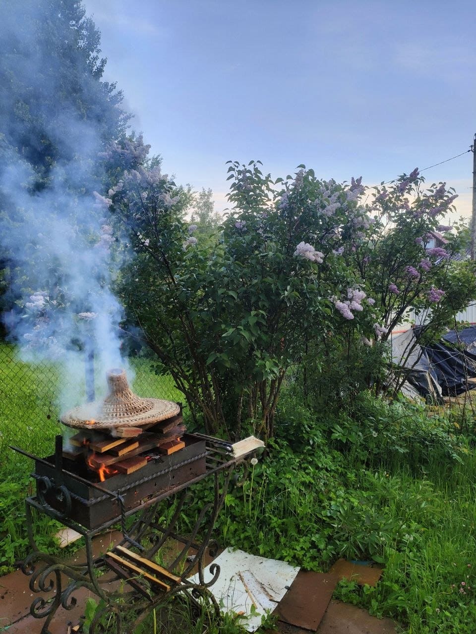Отдыхаем на даче